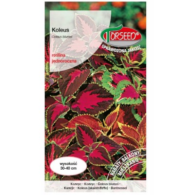 Koleus Pokrzywka Nasiona Mieszanka Odmian